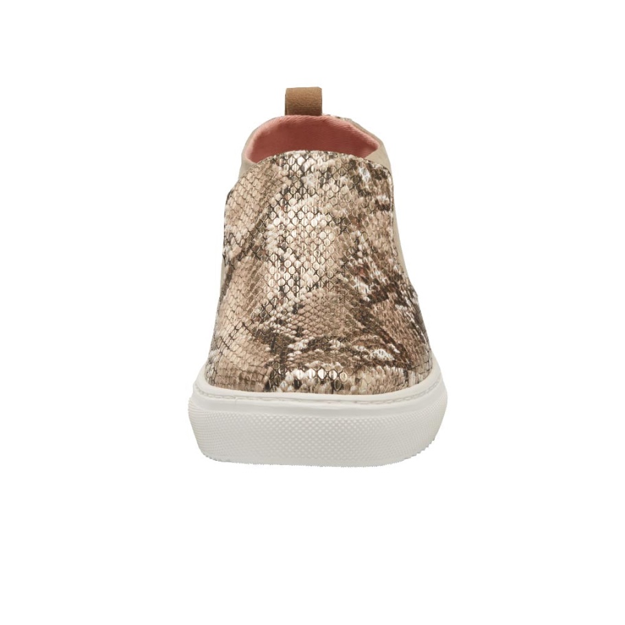 Hey Alter Peyton Schlange Braun